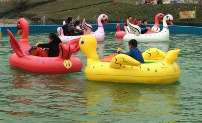 恐龙碰碰船 儿童水上游乐船 充气加厚气圈电动船 水上乐园游乐设备